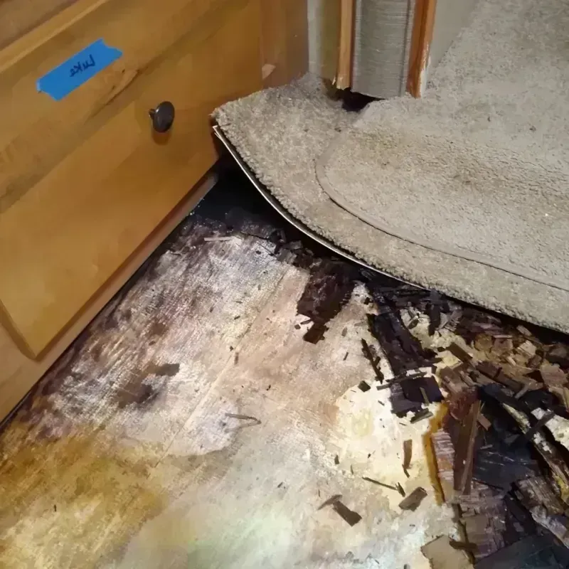 Wood Floor Water Damage in Owatonna, MN